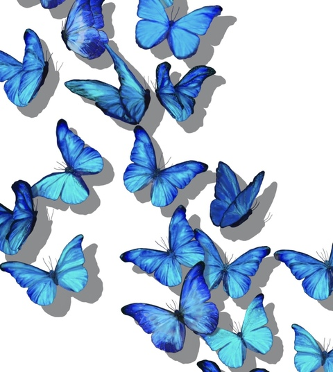 Leaked louisamikayla header onlyfans leaked