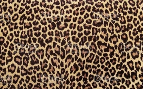 Leaked lulu_sxx header onlyfans leaked