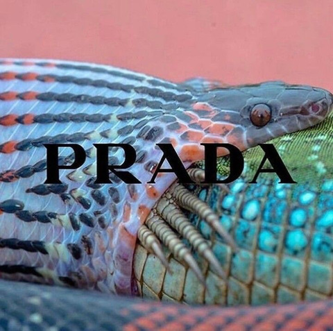 Leaked mamichampagne header onlyfans leaked