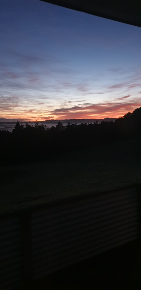 Leaked maoriman header onlyfans leaked