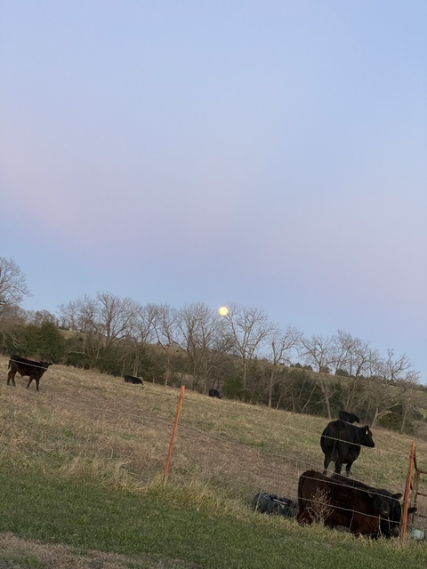 Leaked midwestxxx header onlyfans leaked