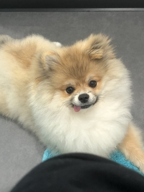 Leaked missbeardedneko header onlyfans leaked