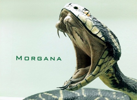 Leaked morganafire21 header onlyfans leaked