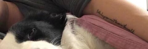 Leaked muleicui header onlyfans leaked
