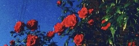 Leaked nataliat header onlyfans leaked