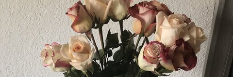 Leaked oh_ivon header onlyfans leaked
