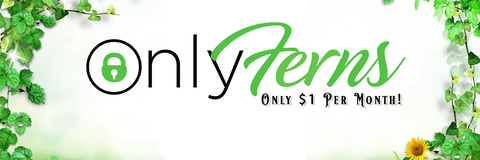 Leaked onlyferns header onlyfans leaked