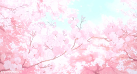 Leaked ookami_princess header onlyfans leaked