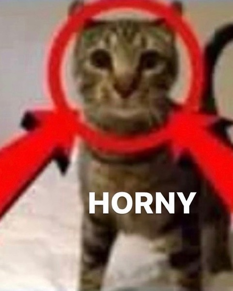 Leaked peach.niko header onlyfans leaked