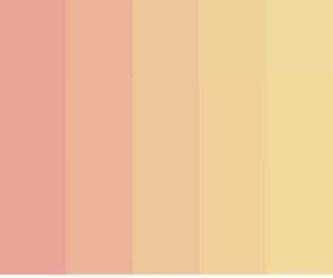 Leaked peachyy_p header onlyfans leaked