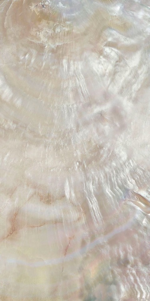 Leaked pearl_darling header onlyfans leaked