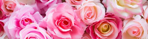 Leaked pink-rose header onlyfans leaked