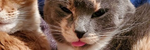 Leaked princess_maddz header onlyfans leaked