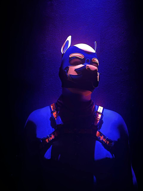 Leaked pup_quentin header onlyfans leaked
