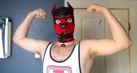 Leaked pup_scout header onlyfans leaked