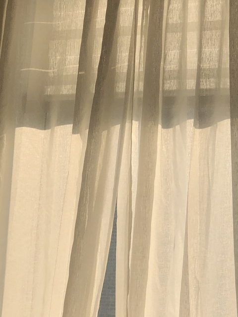 Leaked pupilles header onlyfans leaked