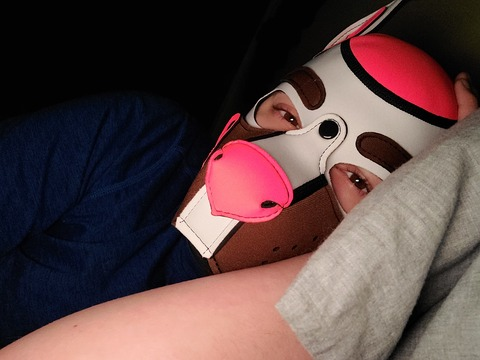 Leaked pupneo95 header onlyfans leaked
