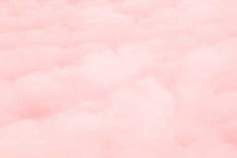 Leaked queenoftrannies header onlyfans leaked