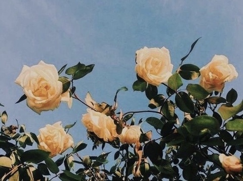 Leaked rachiek header onlyfans leaked