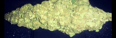 Leaked rollingstoner37 header onlyfans leaked