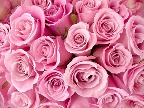 Leaked rosey.roses header onlyfans leaked