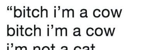Leaked sailornewb1 header onlyfans leaked