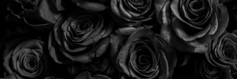 Leaked sammyrosex header onlyfans leaked