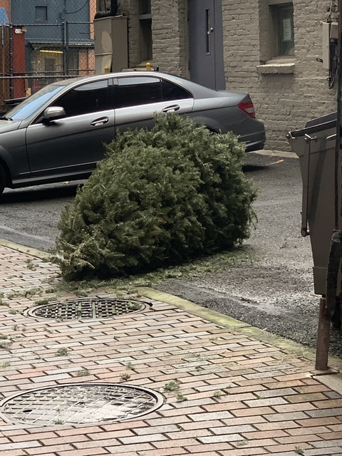 Leaked seattlekitten header onlyfans leaked