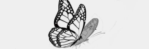 Leaked serenna_ header onlyfans leaked