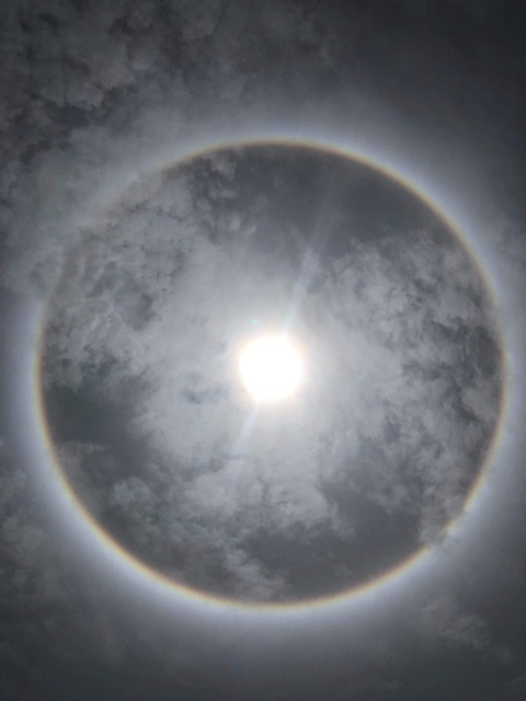 Leaked shawnac9 header onlyfans leaked