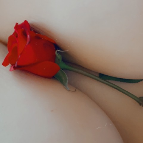 Leaked shearheart87 header onlyfans leaked