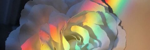 Leaked shy_bean39 header onlyfans leaked