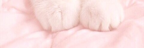 Leaked sluttyrules header onlyfans leaked