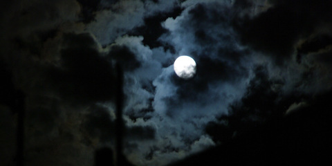 Leaked smallnympho header onlyfans leaked