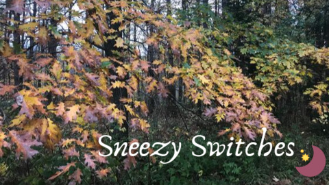 Leaked sneezyswitches header onlyfans leaked