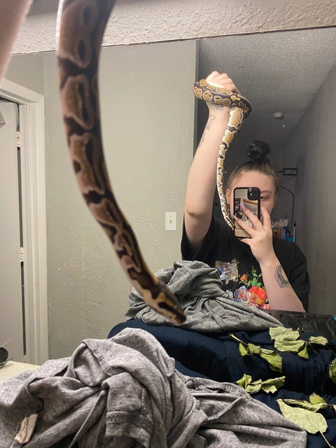 Leaked snowbunnybabygirl header onlyfans leaked