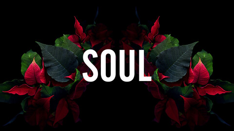 Leaked soulreaper09 header onlyfans leaked