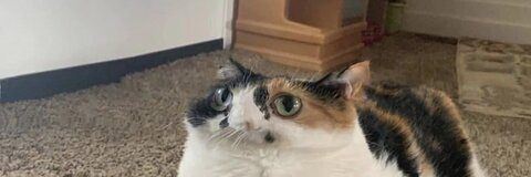 Leaked spookibaby header onlyfans leaked