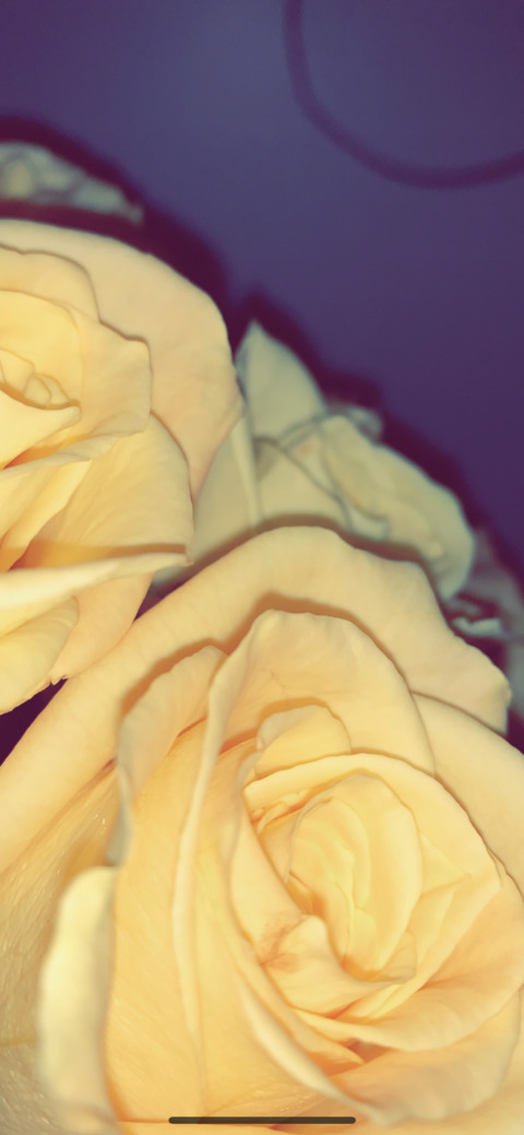 Leaked spookyy_baby header onlyfans leaked