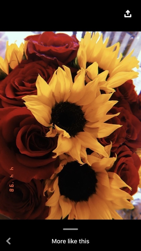 Leaked sunshinecortez header onlyfans leaked
