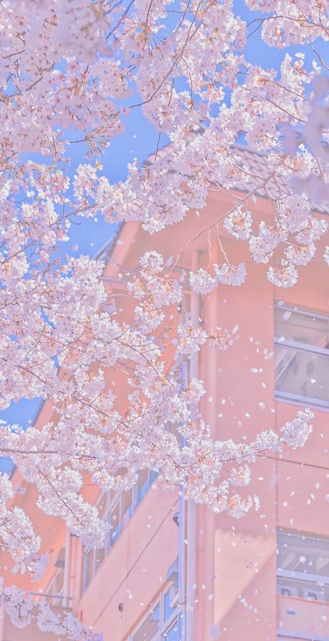 Leaked sweetspicelulu header onlyfans leaked