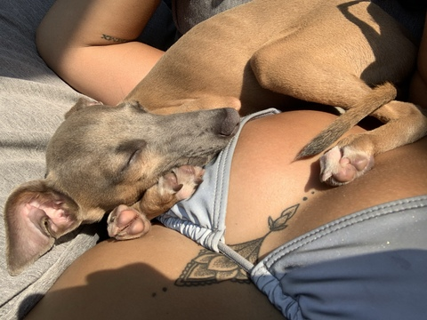 Leaked talia_88 header onlyfans leaked