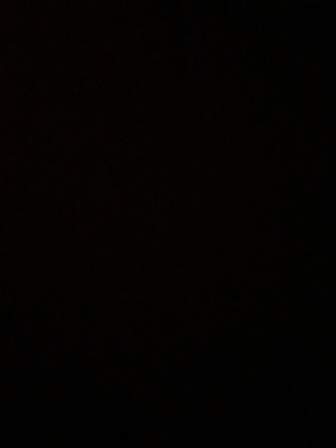 Leaked tbaggz26 header onlyfans leaked
