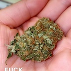 Leaked thatbitchlenny onlyfans leaked