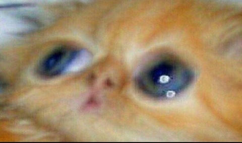 Leaked thatthickthot header onlyfans leaked