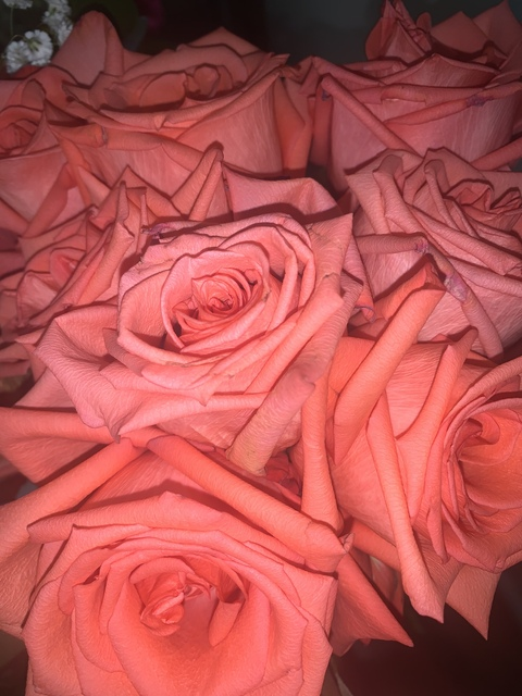Leaked thepretty_lady header onlyfans leaked