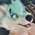 Leaked thylasaur onlyfans leaked