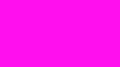 Leaked tostiloko header onlyfans leaked