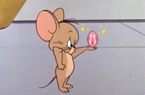 Leaked toxicaperra header onlyfans leaked