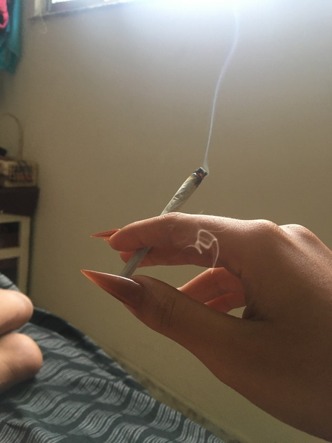 Leaked tropicaldeliriumfree header onlyfans leaked